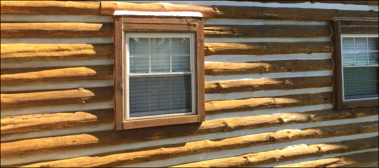 Log Home Whole Log Replacement  Emanuel County, Georgia